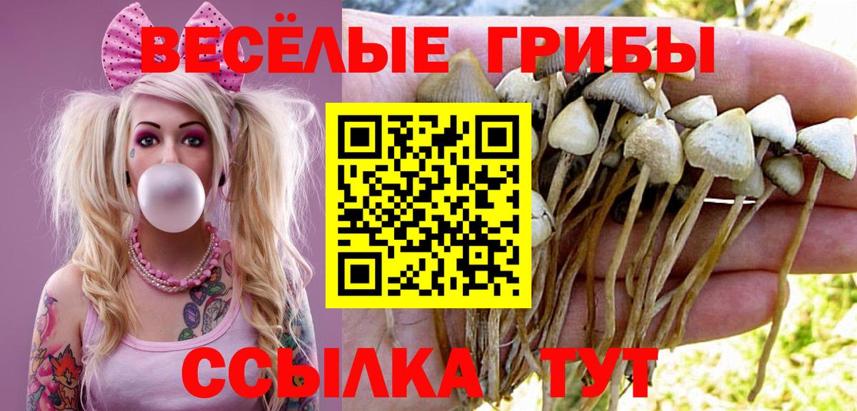 Псилоцибиновые грибы Magic Shrooms Кизилюрт